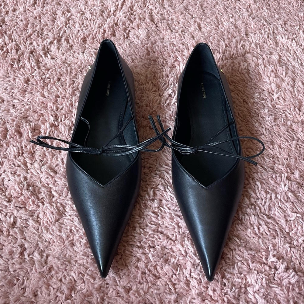 Brand NEW Anine Bing Nikki Flats